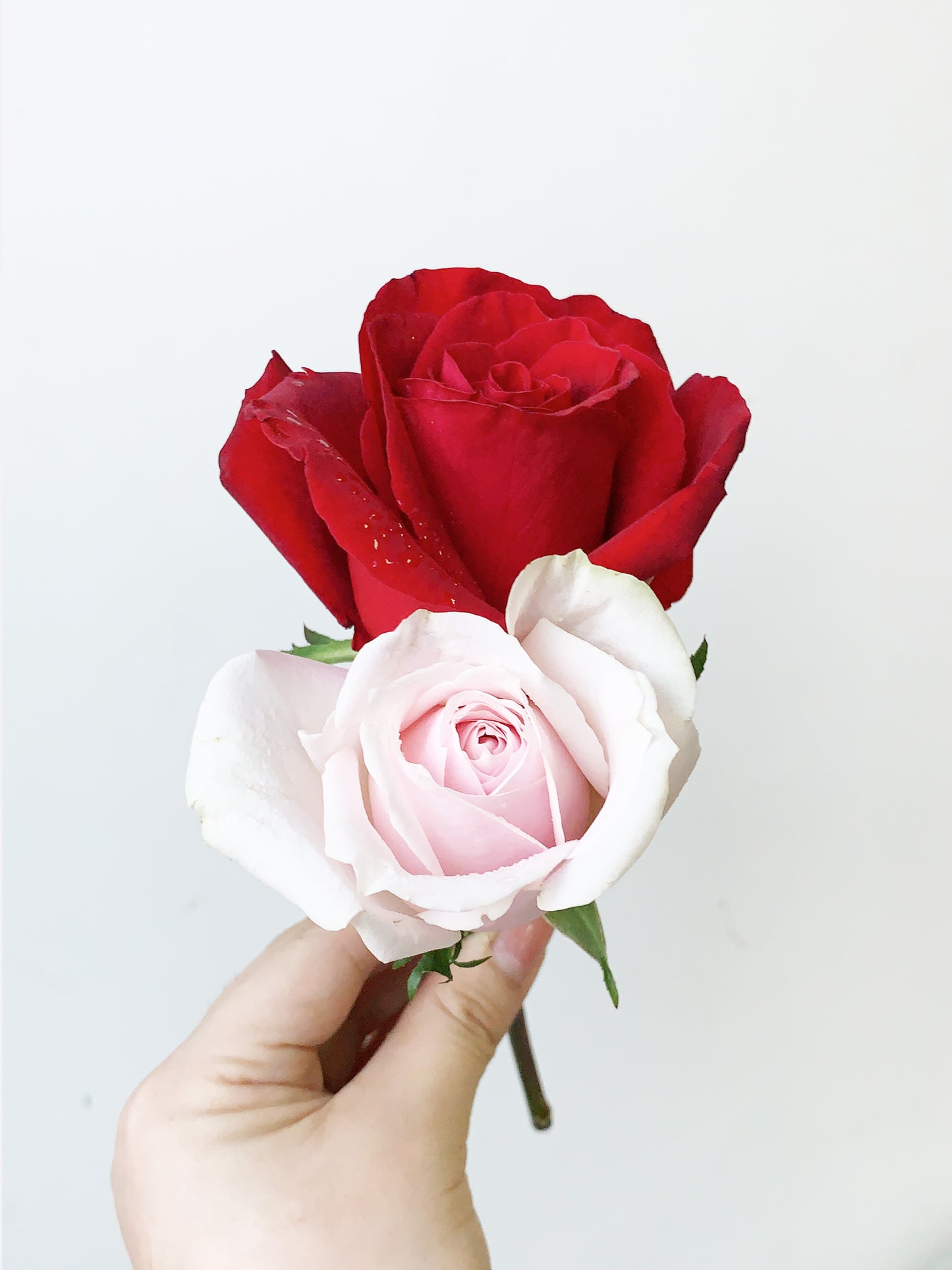 Boutonnieres & Corsages To-Go