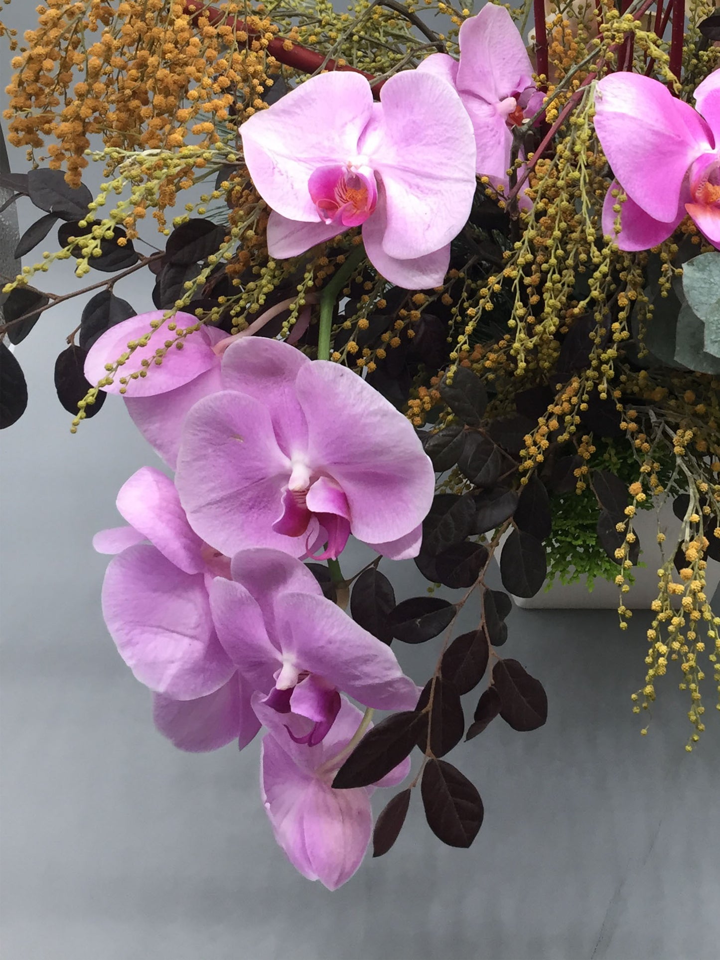 Phalaenopsis Arrangement - K. FLOWER